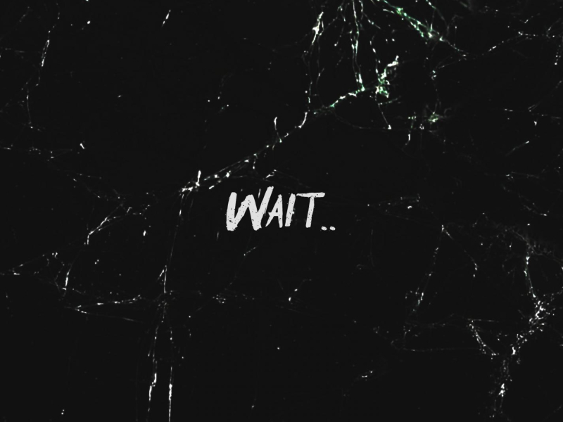 Wait.. (Single)