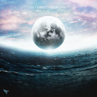 If I Didn't Know You (Single)