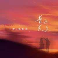 普通关系 (Single)