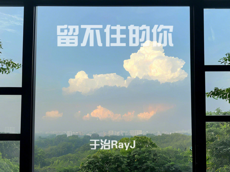留不住的你 (Single)