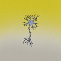 Brain Pills (Familiar Faces Remix) (Single)