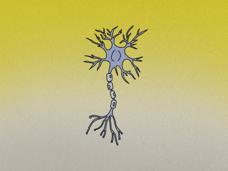 Brain Pills (Familiar Faces Remix) (Single)