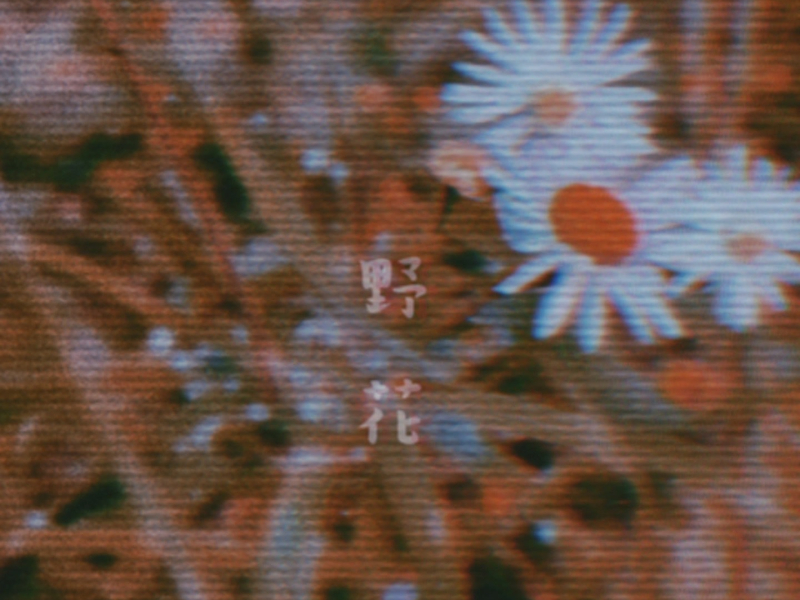 野花 (Single)