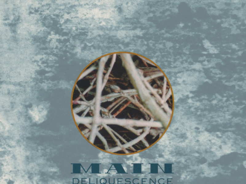 Deliquescence (Live at Theatre Municipal, Nevers, France - June 7th 1997)