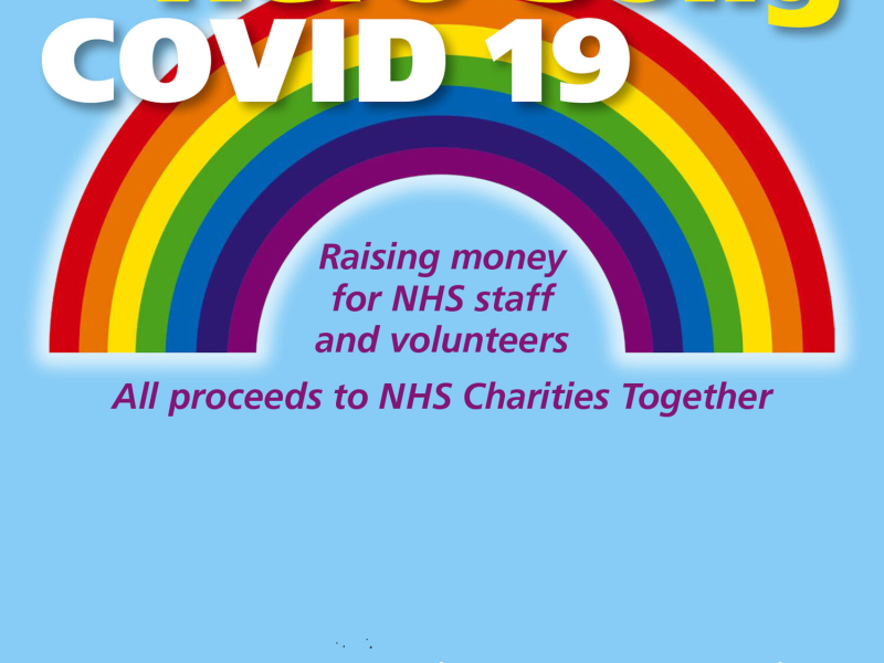 Hero Song Covid 19 (Single)