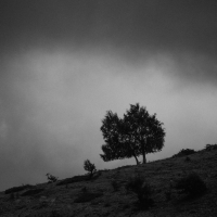 i'm not okay but its okay (Single)