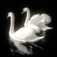 What You Saying (Sped Up) (Single)