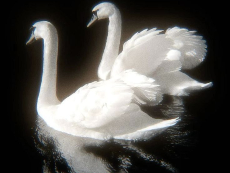 What You Saying (Sped Up) (Single)