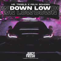 Down Low (Single)