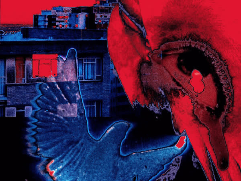 Madro (Luna Llena) (Single)