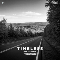 Timeless (Pakto Remix) (Single)