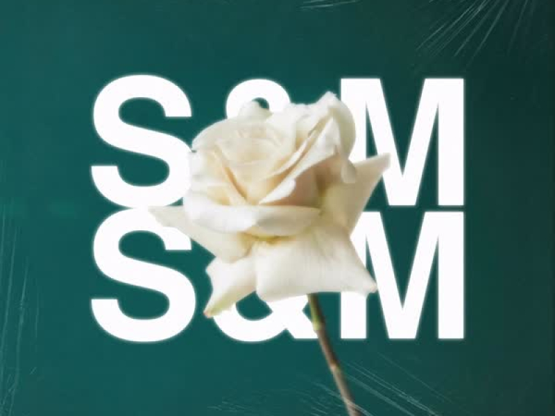 S&M (Single)