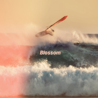 Blossom (Single)