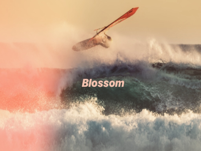 Blossom (Single)