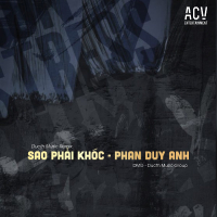 Sao Phải Khóc (Ducth Music Remix) (Single)