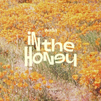 In the Honey (Single)