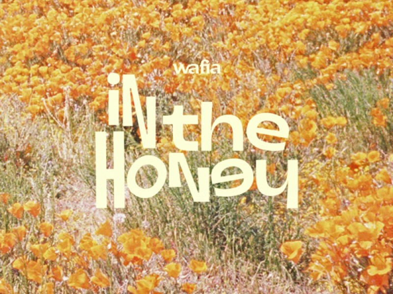 In the Honey (Single)