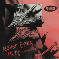 Never Been Hurt (Remixes) (EP)