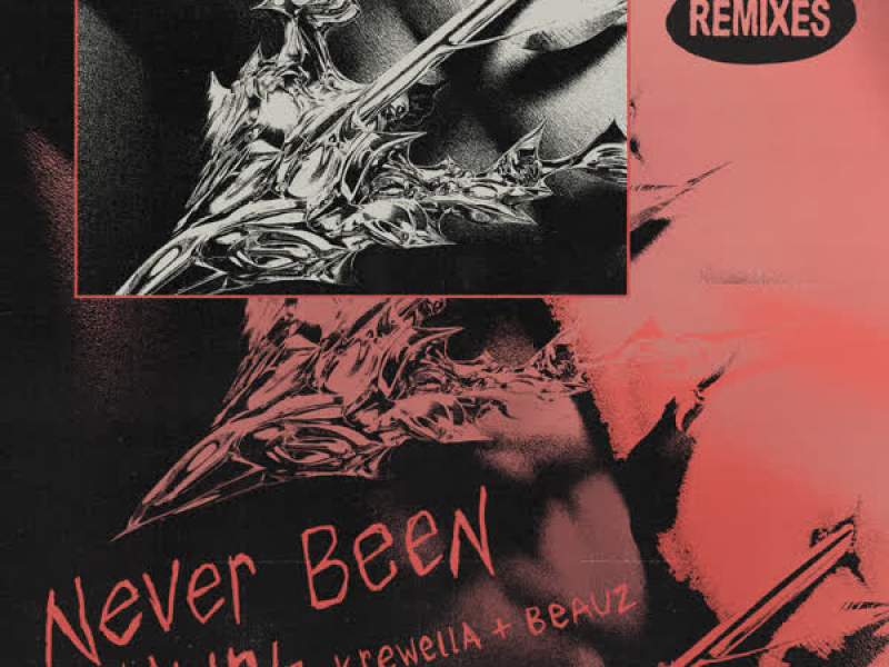 Never Been Hurt (Remixes) (EP)