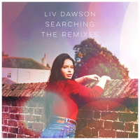 Searching (The Remixes) (Single)