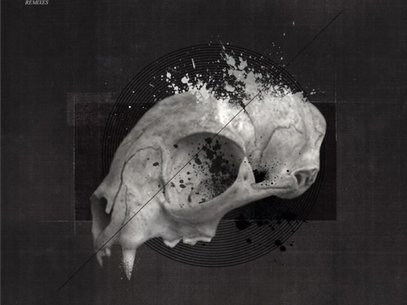 No Holds Barred / Get A Bit More (Single)