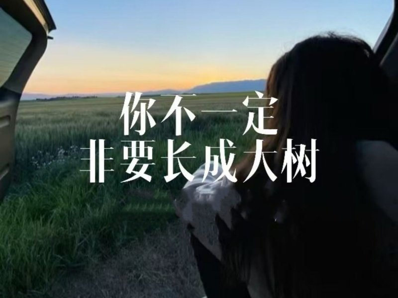 你不一定非要长成大树 (Single)