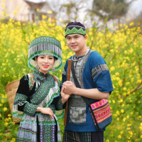 Gặp Nhau Giữa Rừng Mơ (Single)