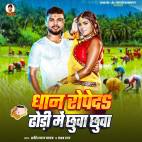 Dhan Ropeda Dhodi Me Chhuwa Chhuwa (Single)