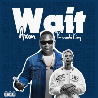 Wait (Single)