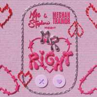 Mr Right (Single)