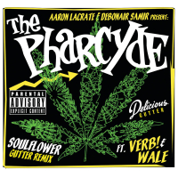 Soul Flower (Aaron Lacrate & Debonair Samir Present: Remixes) (EP)