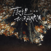 落叶是秋天的眼泪 (Single)