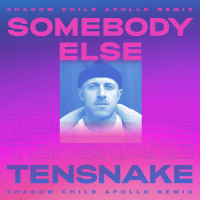 Somebody Else (Shadow Child Apollo Remix) (Single)