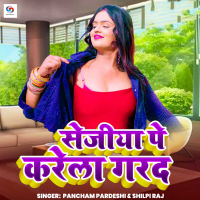 Sejiya Pe Karela Garad (Single)