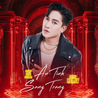 Ân Tình Sang Trang (AnhVu Remix) (Single)
