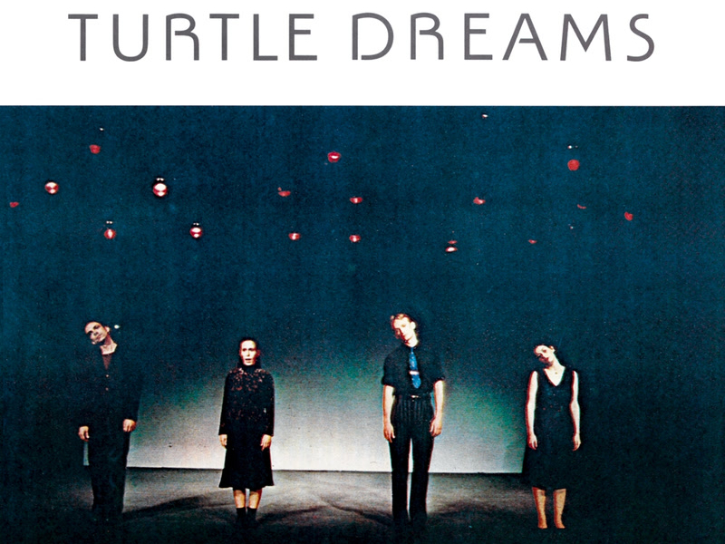 Turtle Dreams