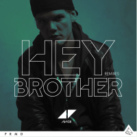 Hey Brother (Remixes) (Single)