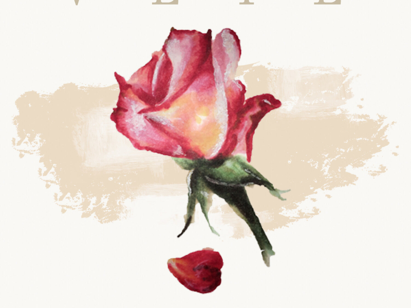 Bad Romance (Single)