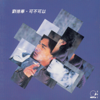 復黑王 - 可不可以 - 劉德華