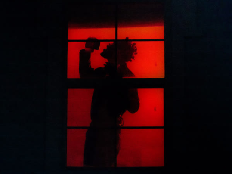 fools reverie (my lover) (Single)