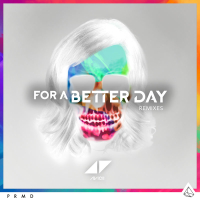 For A Better Day (Remixes) (Single)