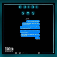 SMS (Single)