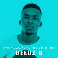 Fake Niggaz no No (Single)