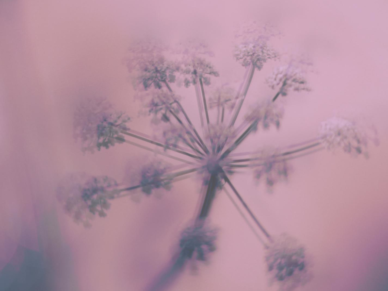 I'm not real (instrumental) (Single)