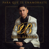 Para Qué Te Enamoraste (Single)