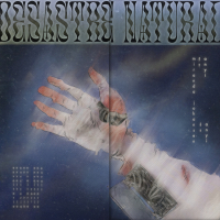 desastre natural (Single)