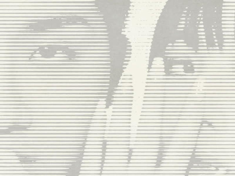 THE GONLAN SONG (JPN ver.) (Single)