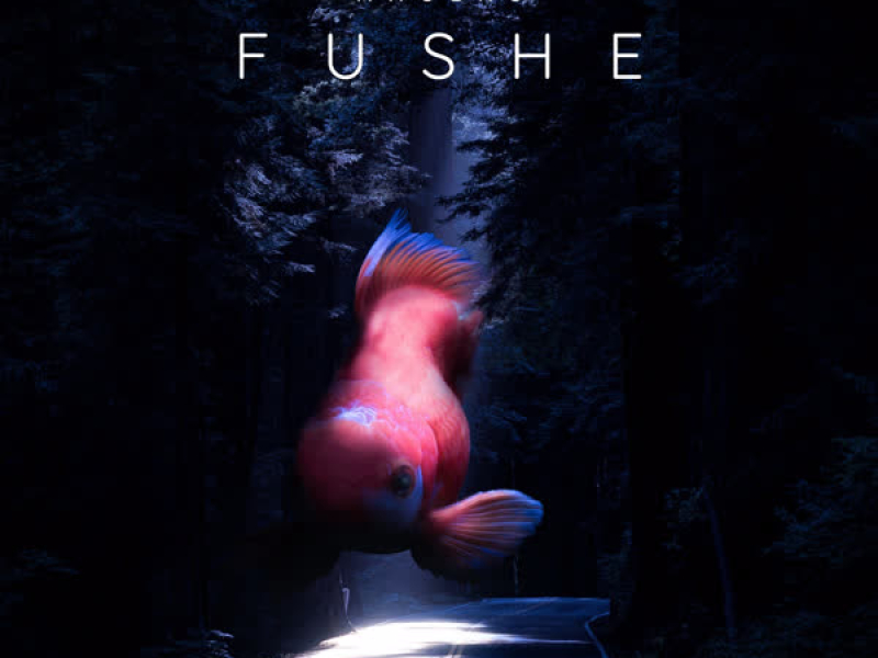 Fushe (Single)