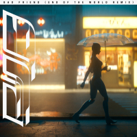 Bad Friend (End of the World Remix) (Single)