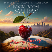 Boom Boom Bam Bam (Cherry Cherry Boom Boom Remix) (Single)
